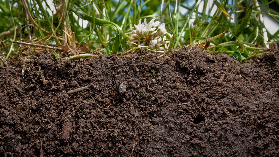 How to Make Sustainable Farming Pay Webinar