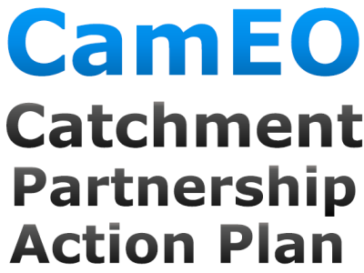 action plan graphic